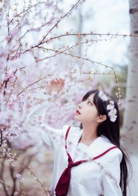 欧美成年人在线电影_1080在线视频播放
